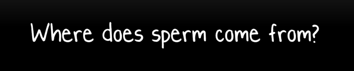 Where does sperm come from?