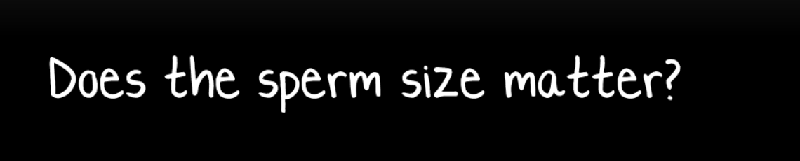 Does the sperm size matter?