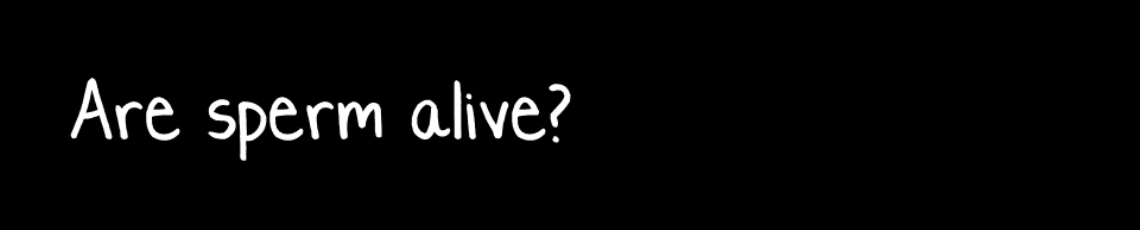 Are sperm alive?